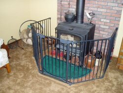 Wood Stove With Carpet.jpg