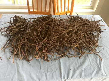 [Hearth.com] 2025 Garden Thread