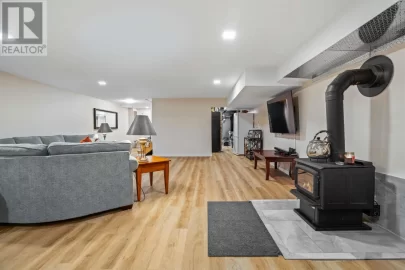 [Hearth.com] Wood trim heat shield