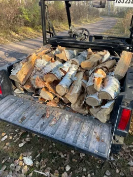 [Hearth.com] White Birch Rounds