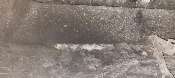 [Hearth.com] Neighbors Fireplace