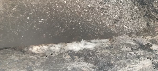 [Hearth.com] Neighbors Fireplace