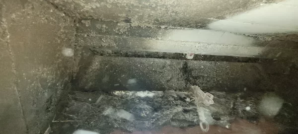 [Hearth.com] Neighbors Fireplace