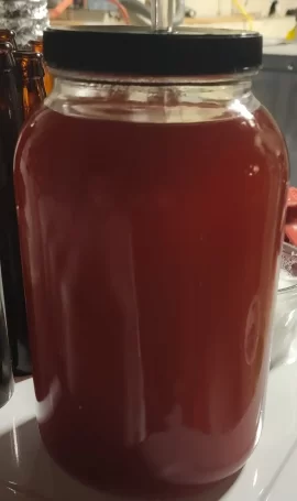 [Hearth.com] Home brewing thread anyone?