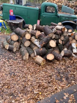 [Hearth.com] Show Us Your Wood Shed