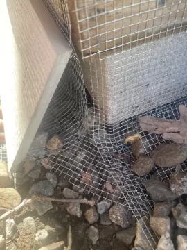 [Hearth.com] Stopping a rodent incursion under the shed!