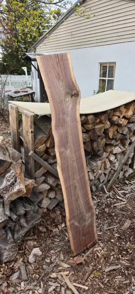 [Hearth.com] Chainsaw Mill Question ?