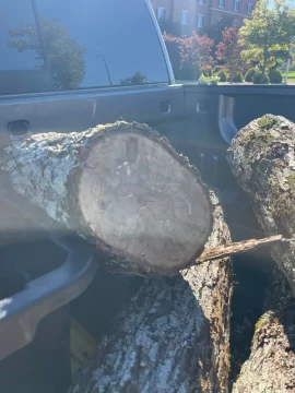 [Hearth.com] Wood ID Help