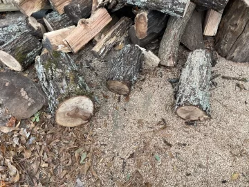 [Hearth.com] Wood ID Help