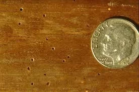 [Hearth.com] Wood ID Help