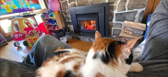 [Hearth.com] Neo 2.5 LE