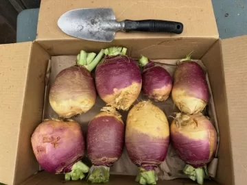 [Hearth.com] 2025 Garden Thread