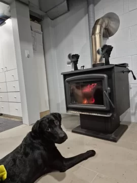 [Hearth.com] Your stove and your dog(s)