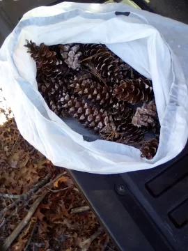 [Hearth.com] Seasoned Firewood & New England Weather