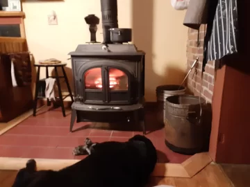 [Hearth.com] Your stove and your dog(s)