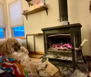 [Hearth.com] Your stove and your dog(s)