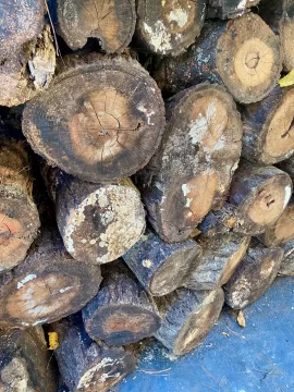 [Hearth.com] Got some white mold.