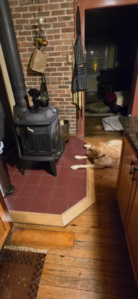 [Hearth.com] Your stove and your dog(s)