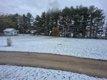 [Hearth.com] What Is In Your Stove Right Now?