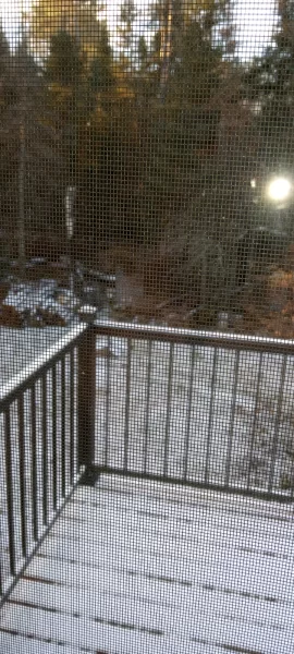 [Hearth.com] What Is In Your Stove Right Now?