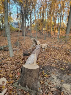 [Hearth.com] Work Done 2025