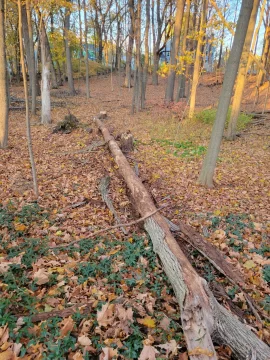 [Hearth.com] Work Done 2025