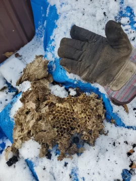 [Hearth.com] Lesson learned - cover your chimney over the summer!