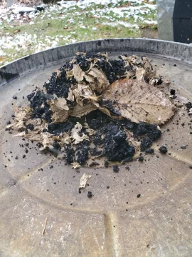 [Hearth.com] Lesson learned - cover your chimney over the summer!