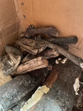 [Hearth.com] What Is In Your Stove Right Now?