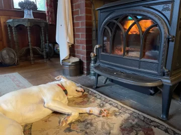 [Hearth.com] What Is In Your Stove Right Now?