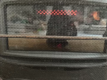 [Hearth.com] Blaze king Ashford 25 Lowest setting, still seeing decent size flame, shorter burn time