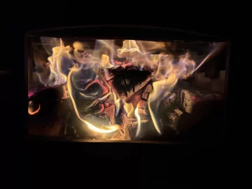 [Hearth.com] What Is In Your Stove Right Now?