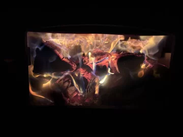 [Hearth.com] What Is In Your Stove Right Now?