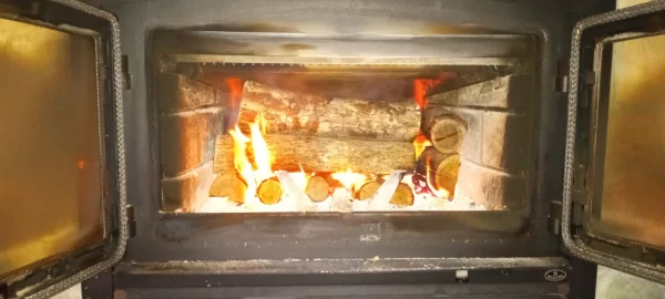 [Hearth.com] What Is In Your Stove Right Now?