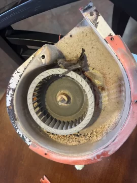 [Hearth.com] First mouse for me!!