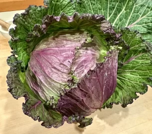 [Hearth.com] 2025 Garden Thread