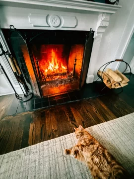 [Hearth.com] What Is In Your Stove Right Now?