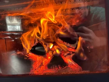 [Hearth.com] What Is In Your Stove Right Now?