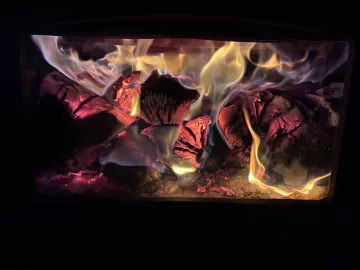 [Hearth.com] What Is In Your Stove Right Now?