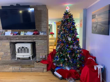 [Hearth.com] A few jotuls I’ve done recently