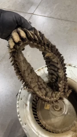 [Hearth.com] CB1200 - Not as toasty as it should be