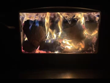 [Hearth.com] What Is In Your Stove Right Now?