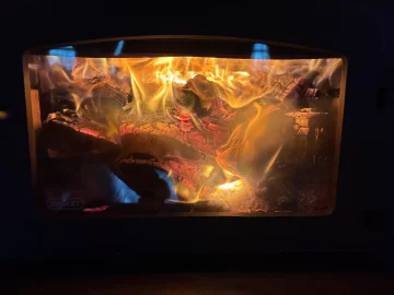 [Hearth.com] What Is In Your Stove Right Now?