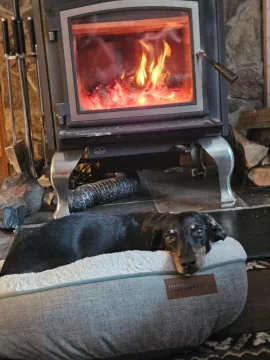 [Hearth.com] Your stove and your dog(s)