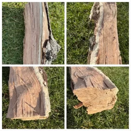 [Hearth.com] Firewood type question, identify, thank you!!!