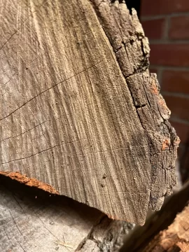 [Hearth.com] Wood ID