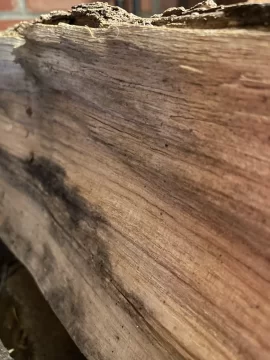 [Hearth.com] Wood ID