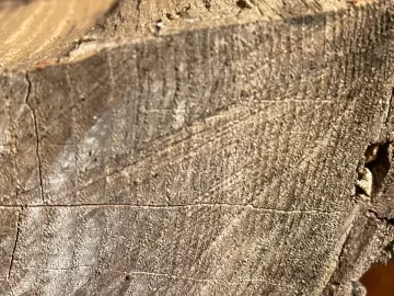 [Hearth.com] Wood ID