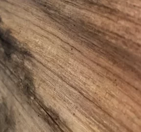 [Hearth.com] Wood ID