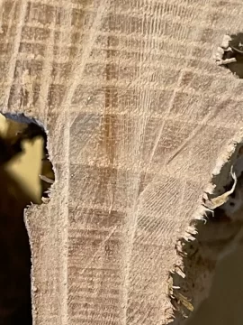 [Hearth.com] Wood ID